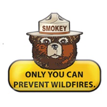 md fire departments, maryland wildfires, md wild fires, maryland fire departments, maryland firefighters, maryland fire source, maryland land burning, wildfire preparedness, protect your home, wildland urban interface, prevent wildfires