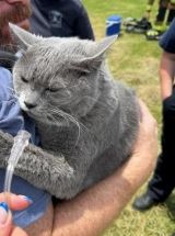 photo by Caroline Co EMS