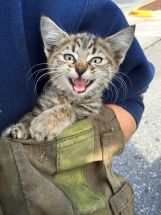 photo by Clinton Volunteer Fire Department