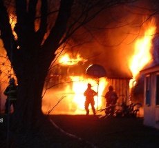 photo by Nevin Steffy