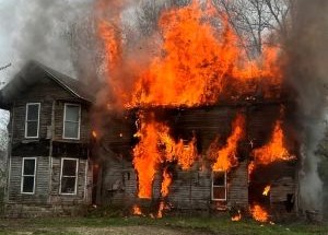 photo by Queen Anne Hillsboro