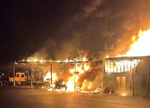 photo by Queen Anne Hillsboro