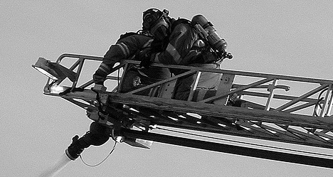 photo by Nevin Steffy