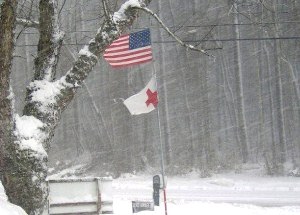 photo by Red Cross Lower Shore